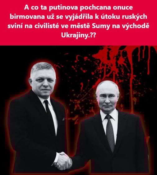 z ceskych webov